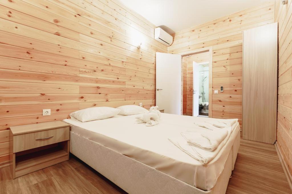 تساندريبش Guest House Amshin المظهر الخارجي الصورة