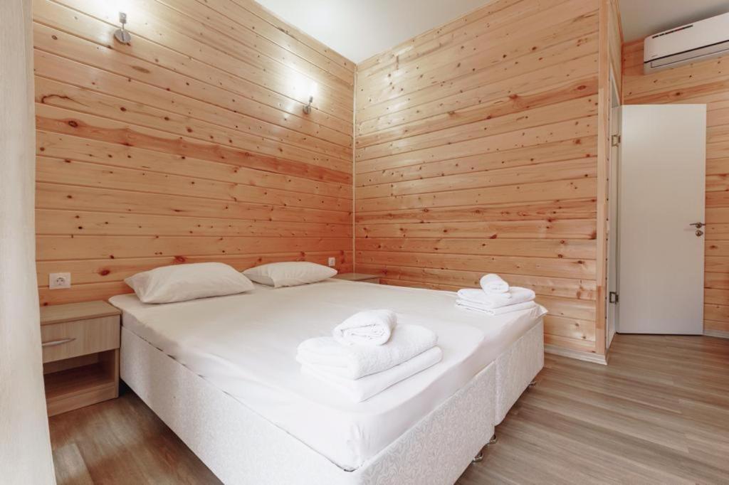 تساندريبش Guest House Amshin المظهر الخارجي الصورة